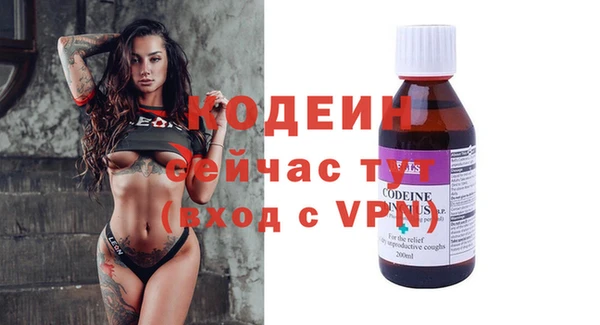 индика Каменногорск