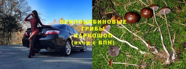 гидропоника Бородино