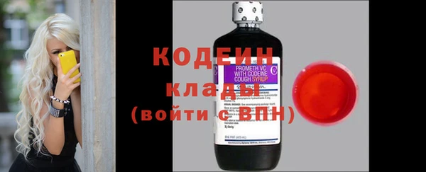 ГАЛЛЮЦИНОГЕННЫЕ ГРИБЫ Бугульма