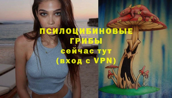 амф Верея
