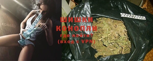 дживик Бронницы