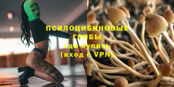 амф Верея